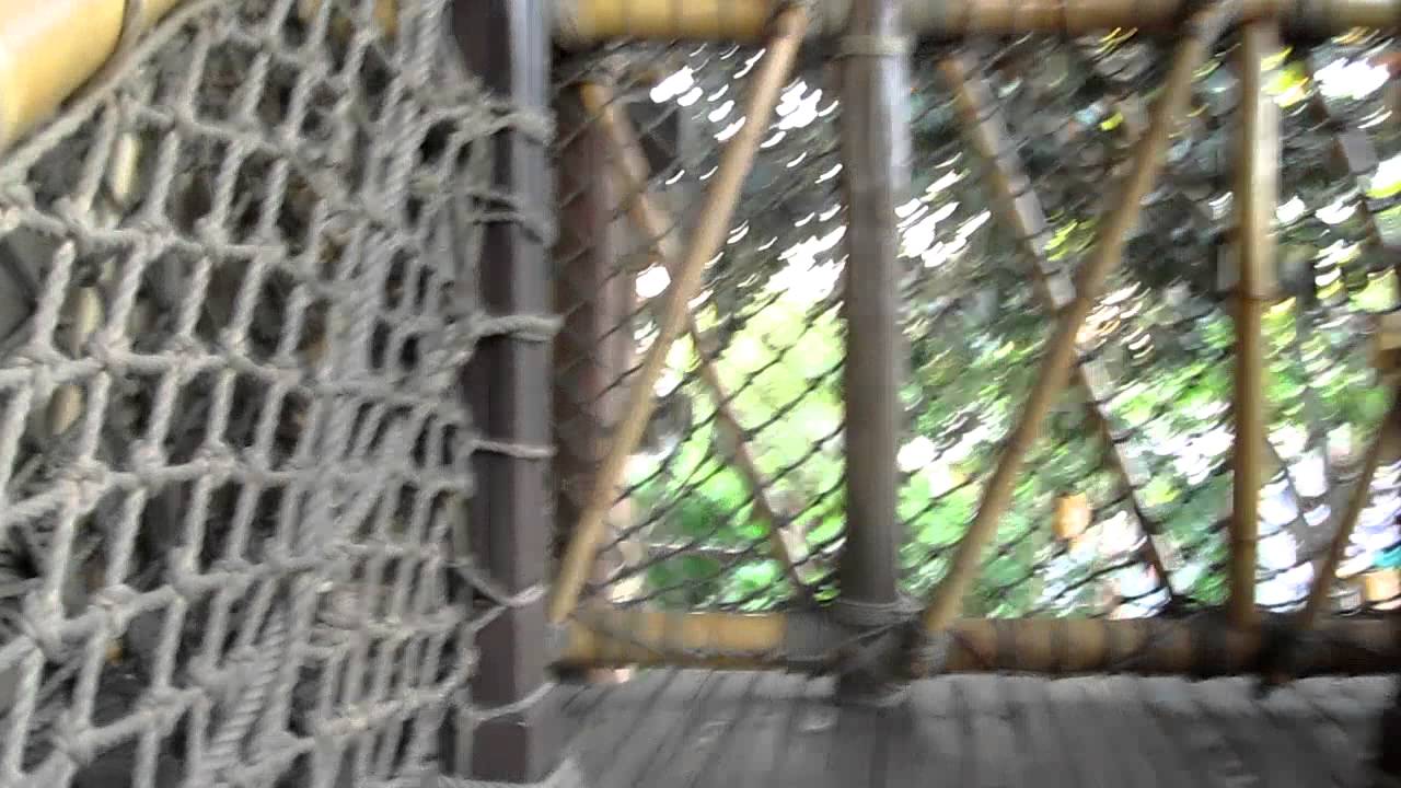 Swiss Family Robinson treehouse Tokyo Disneyland - YouTube