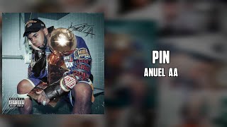 Anuel AA - Pin (Letra)