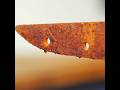 OLD Smart Knife Restoration And Repairing process #cleaverknife #restoration #shorts
