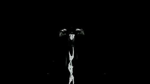 Nif плагин к максу.