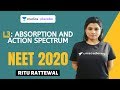 L3: Absorption and Action Spectrum | Photosynthesis Complete NCERT Review | Target NEET 2020