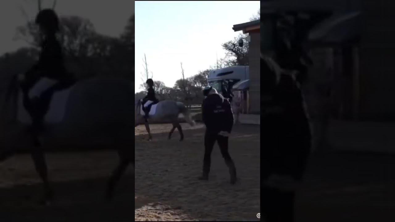 Harlow And Popcorns First Dressage Test By Myponypopcorn