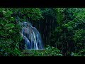 Heavy Rainstorm &amp; Relaxing Forest Waterfall | Water &amp; Rain Sounds to Sleep to!