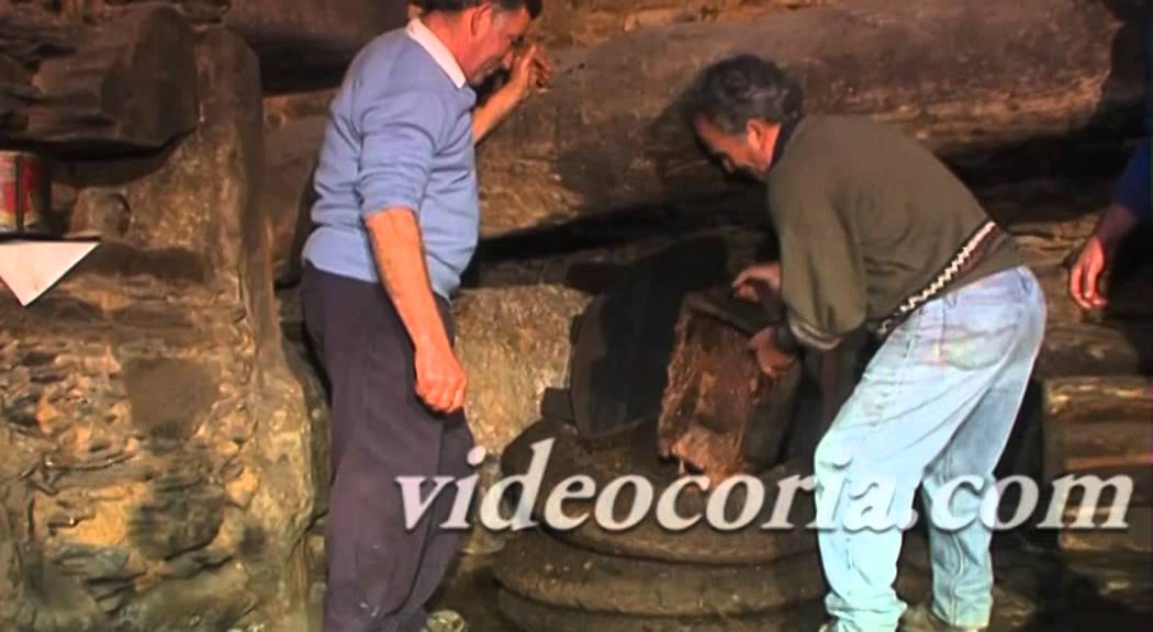 Elaboración del Aceite de oliva de manera tradicional en la Alquitara de Latedo, Zamora
