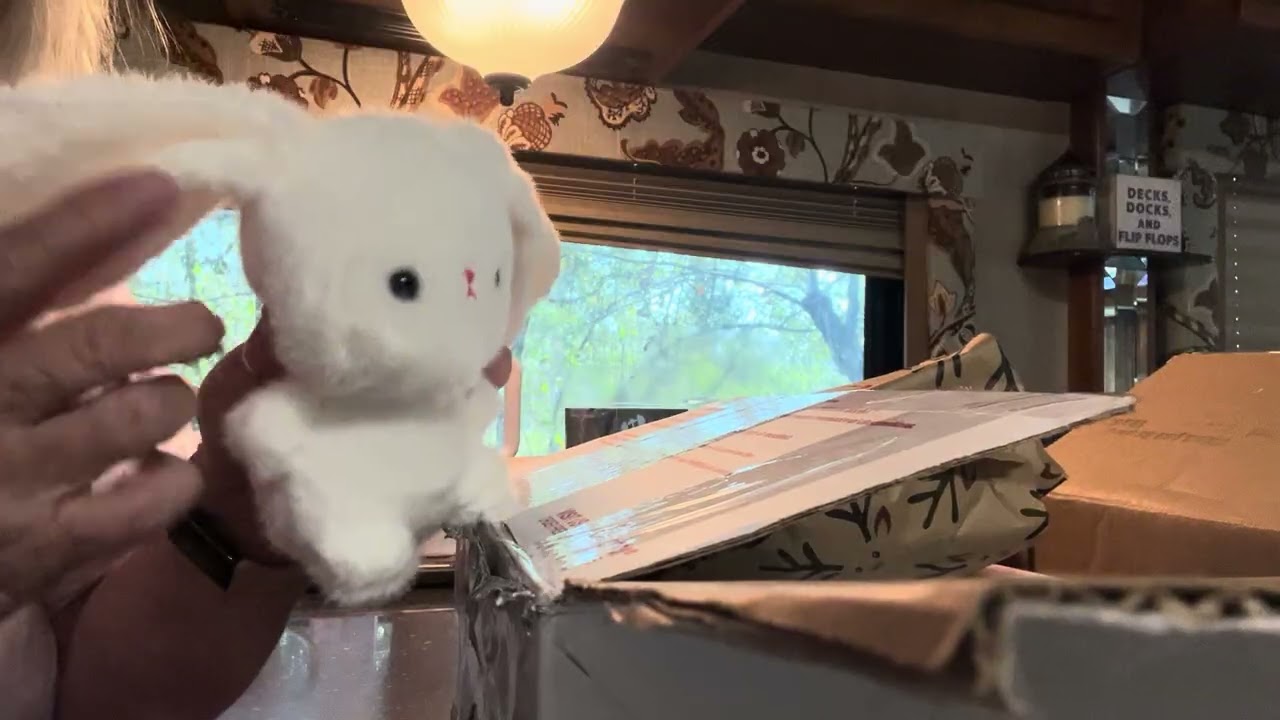 #whateveriwantmonday shopping haul @CJ’slilducklingsnursery