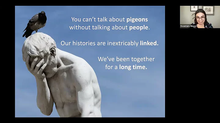 LLNF Science Pub - Pigeons: The World's Most Misunderstood Bird - DayDayNews