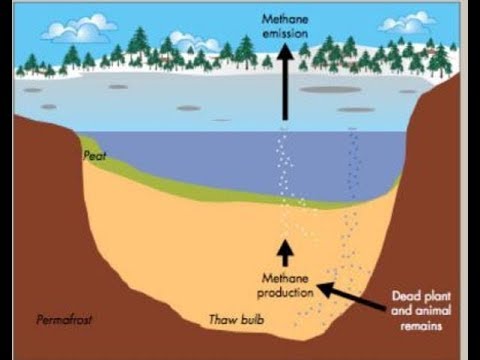 Vídeo: Hace 250 Millones De Años, Hubo Una Extinción Masiva Previamente Desconocida - Vista Alternativa