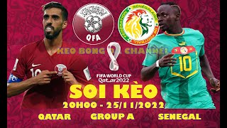 Soi kèo Qatar vs Senegal 20h00 ngày 25/11/2022 - Lượt 2 Bảng A World Cup 2022