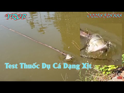 Video Test Thực Tế Thuốc Dụ Cá Dạng Xịt Cực Nhạy | Vua Rừng... - youtube