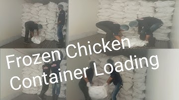 Frozen Chicken Container Loading#video#glvlogs