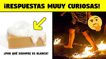 Preguntas con respuestas muuuy curiosas 🧠🤩 [PyR#21]