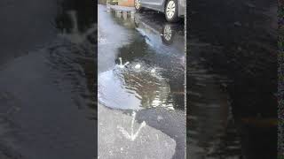 Sanitary sewer overflow