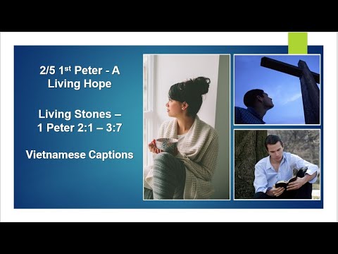 2/5 - 1st Peter Tamil Captions:: A Living Hope: 1 Peter 2:1 – 3:7