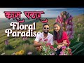 Kaas Pathar Satara 🌸 | Valley of Flowers Maharashtra Monsoon Special | One Day Trip from Pune |