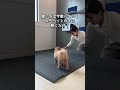 \これだけで床の防音性UP!/三層構造で足音をしっかり吸収🦶下敷き用防音マット! #防音対策
