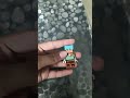 Alex from minecraft