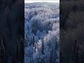 Горный Алтай / органикМИРЪ organicmir.ru