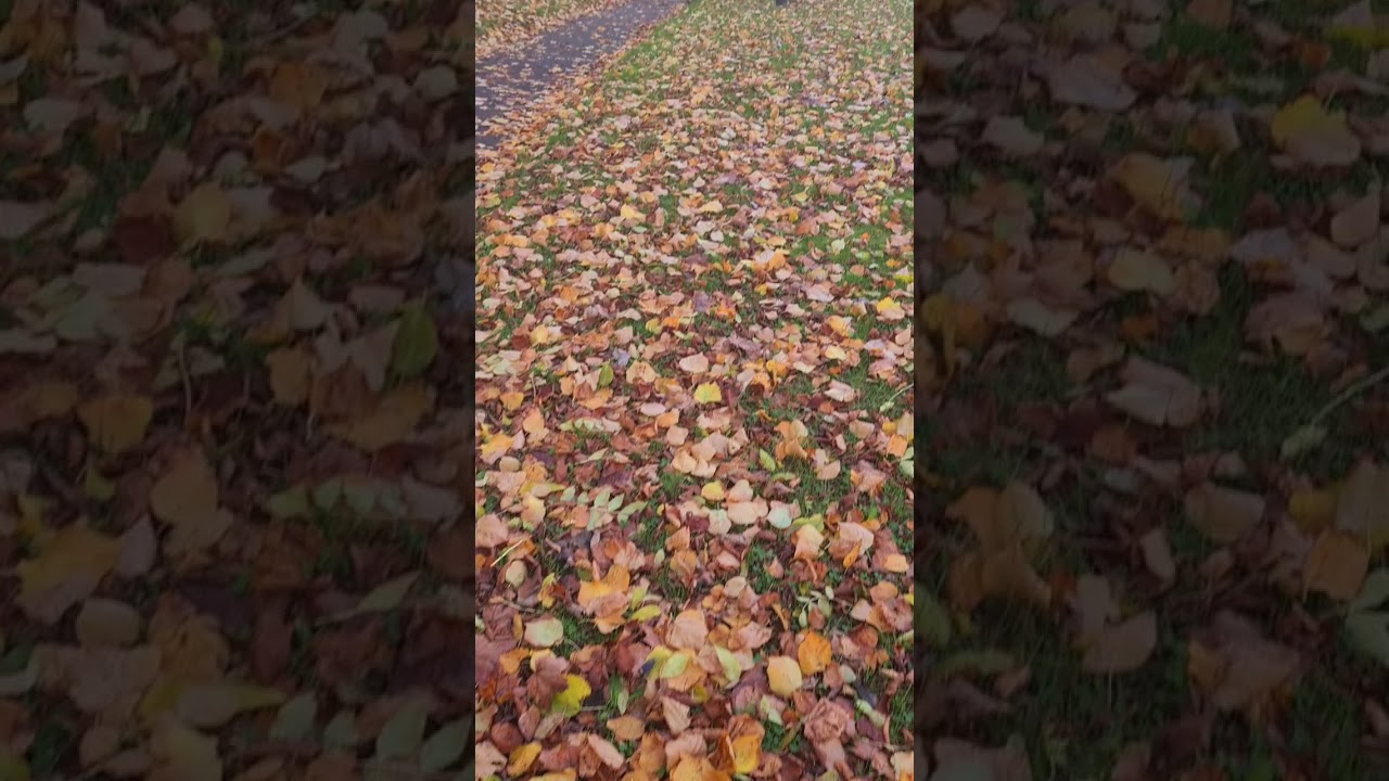 Autumn  In Birmingham  Ukvloging1 