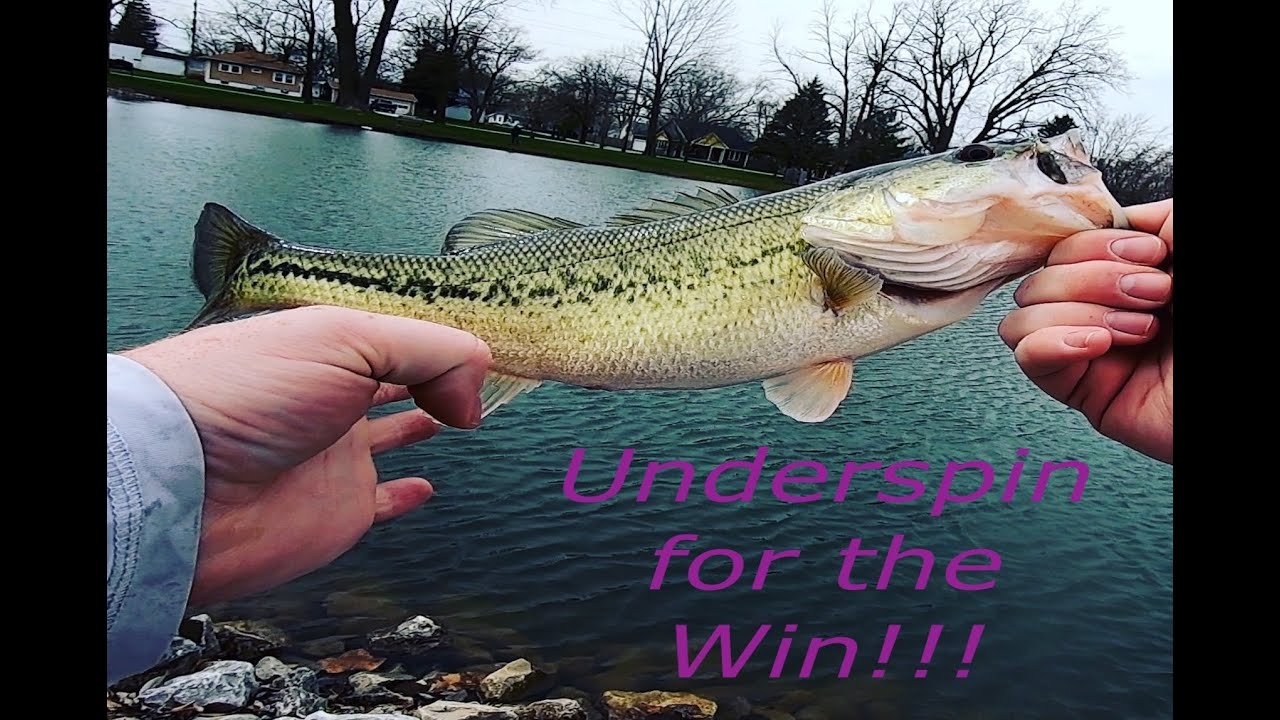 6th Sense Divine Underspin Catches Pond Bass in High Winds 