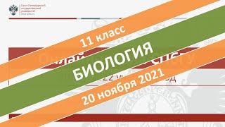 Онлайн-школа СПбГУ 2021/2022. 11 класс. Биология. 20.11.2021