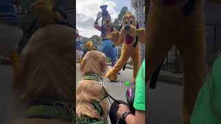 Dog meets favorite Disney character