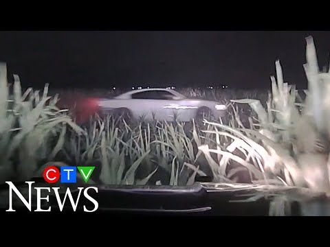 Dashcam shows dramatic police chase in cornfield