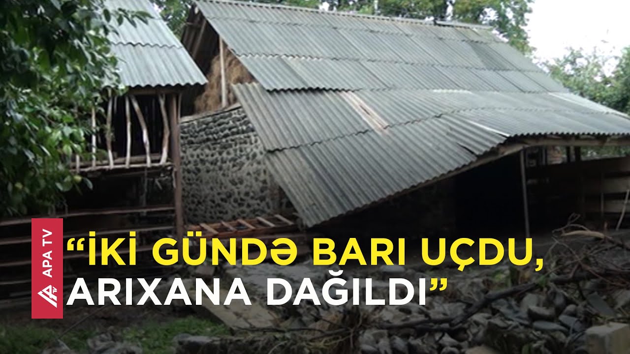 Güclü külək və leysan Zaqatalada kəndləri bu vəziyyətə saldı - APA TV