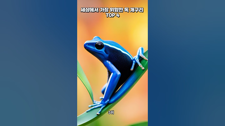 세상에서 가장 위험한 독개구리 TOP4
