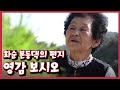 [남도지오그래피] 영감 보시오, 화순 본동댁의 편지 / KBS 210526 방송