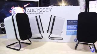 Audyssey Wireless Speakers
