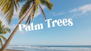 Happy Reggae Type Beat Palm Trees Upbeat Hip-Hop Instrumental