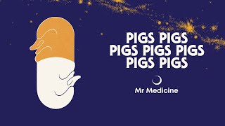 Pigs Pigs Pigs Pigs Pigs Pigs Pigs – Mr Medicine (Track only)