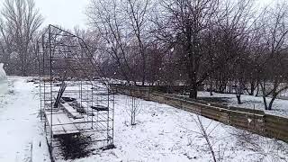 23 марта В Ростовской области наступила зима 🌨️⛷️