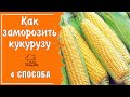 Как правильно заморозить кукурузу - 4 СПОСОБА - в початках и в зёрнах