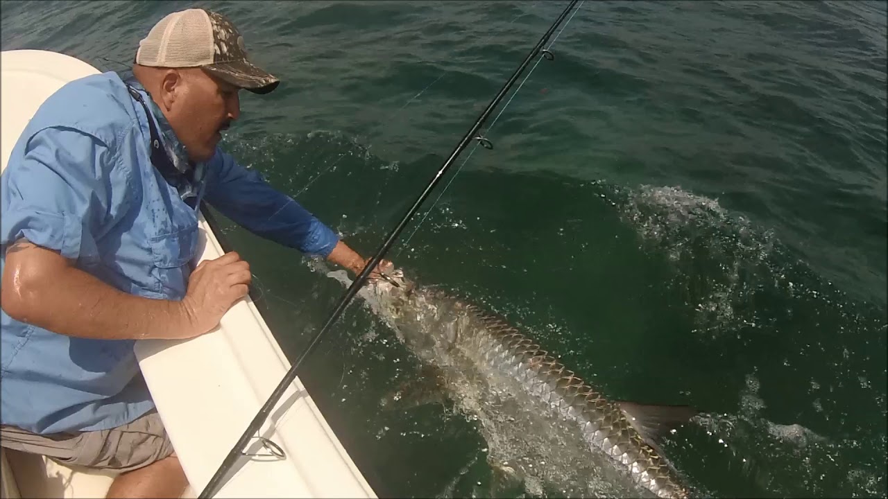 Tarpon facegrab revive and release 
