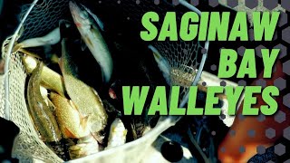 Saginaw Bay Walleyes!