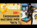 500+ Сверхранняя выставка пчёл. Часть 1.