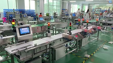 Six stages checkweigher with weight sorting machine for food industry#foodindustry