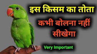 इस तरह का indian ringneck parrot कभी नहीं बोलता || #parrot #bird #talkingparrot