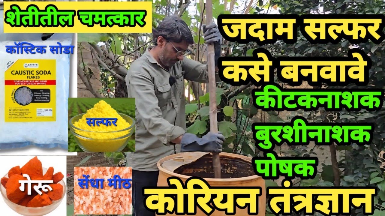 जदाम सल्फर   एक फॉर्म्युला काम अनेक.   डंपिंग , नेमेटॉड,  कीटकनाशक ,पोषक