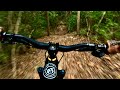 Gnarter Park’s - Two Face Left