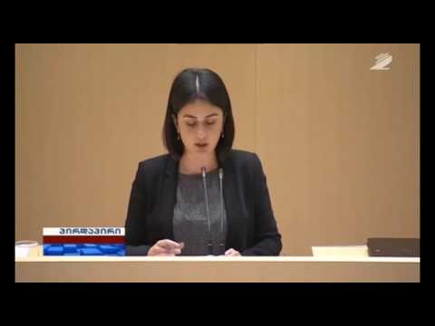 თამარ ხიდაშელის გამოსვლა პარლამენტში (09.06.2016)