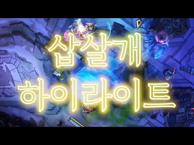 삽살개 하이라이트13