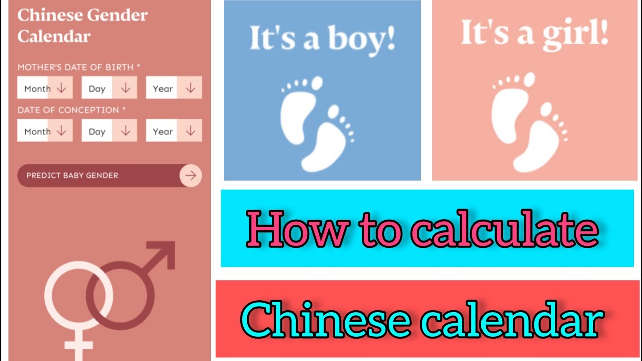 Chinese calendar calculator📅|🤰Boy or Girl gender prediction during ...