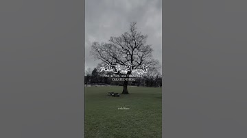 تلاوة مؤثره/وَلَئِنْ سَأَلْتَهُمْ مَنْ خَلَقَهُمْ لَيَقُولُنَّ اللَّهُ فَأَنَّى يُؤْفَكُونَ (87)