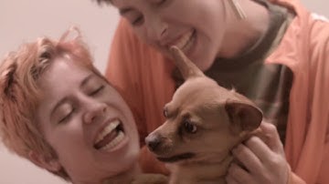 Feel the Fuzz - OFFICIAL MUSIC VIDEO