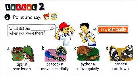 ENGLISH 5 UNIT 9 WHAT DID YOU SEE AT THE ZOO   FullHD 1080P NhatHoc