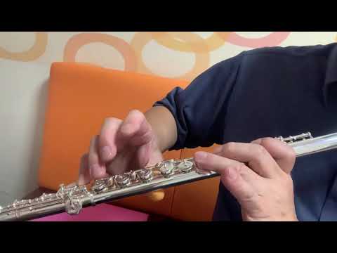 【生涯受験生】　主よ人の望みの喜びよ　その１　音拾い開始