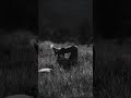 day 9, its a good thing to forget #dailyshorts #forget #viralvideo #health #lifeisbutadream #fyp
