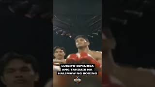 Luisito Espinosa: Pinoy Knockout Artist #box #motivation #boxing